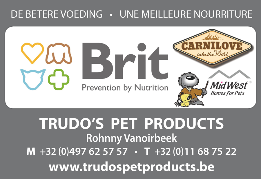 Belgian Borzoi Special 2026