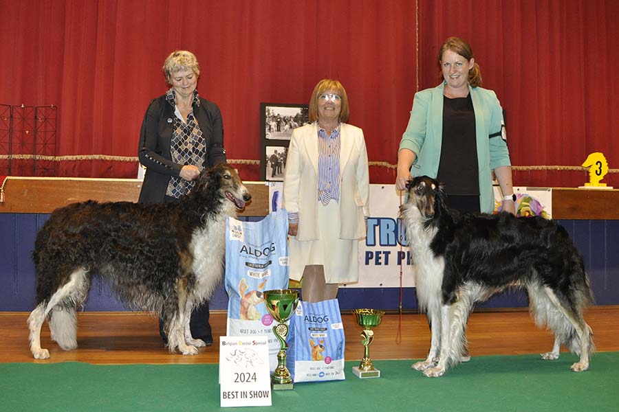 Belgian Borzoi Special 2024